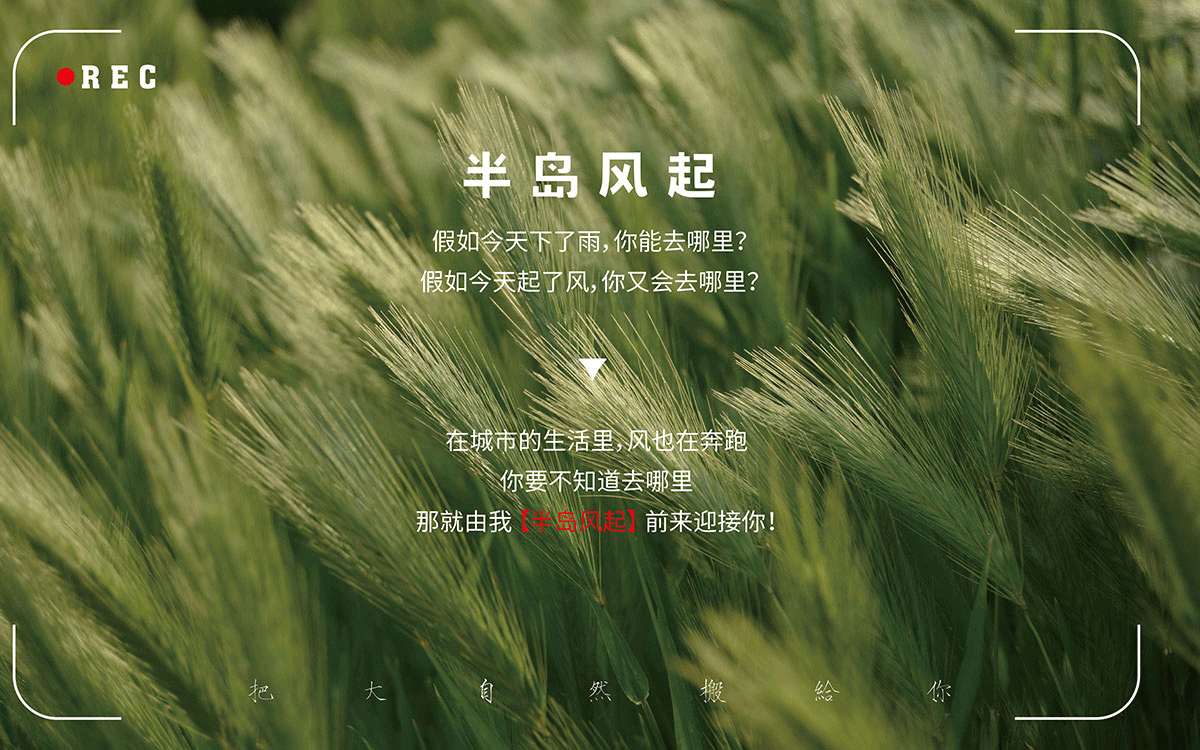 1677147525343444.gif 17.gif